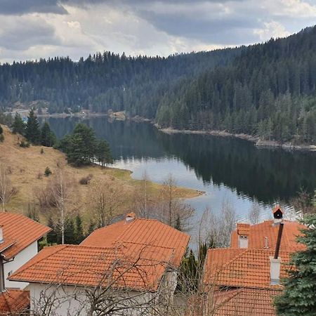 Вила Родопи Dospat Luaran gambar